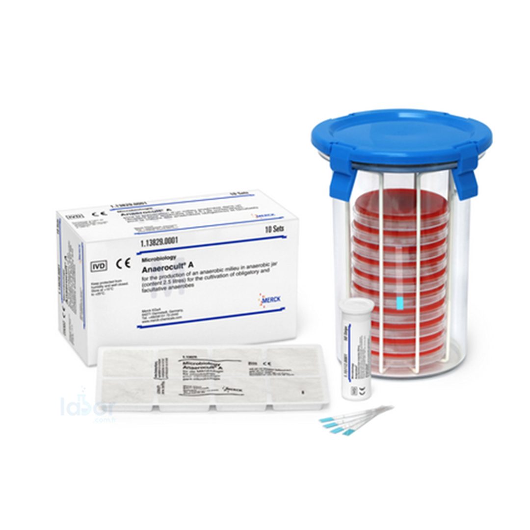 Anaerobic Jar MB-10