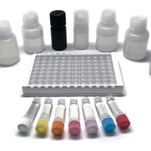 ELISA_Kit DSI-6