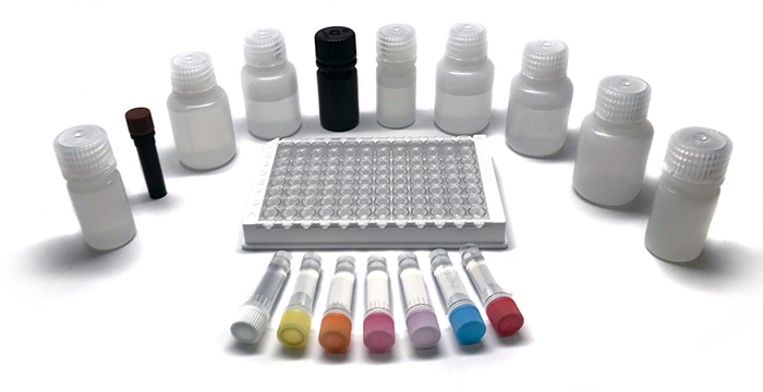 ELISA_Kit DSI-6