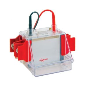 Electrophoresis BC-3