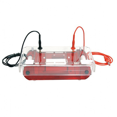 Electrophoresis LS-3
