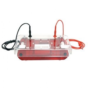 Electrophoresis PL-29