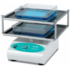 GEL ROCKER BC-25