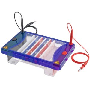 Horizontal Electrophoresis LS-2