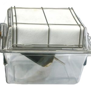 Polycarbonate Filter DSP-3